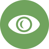 vision_icon